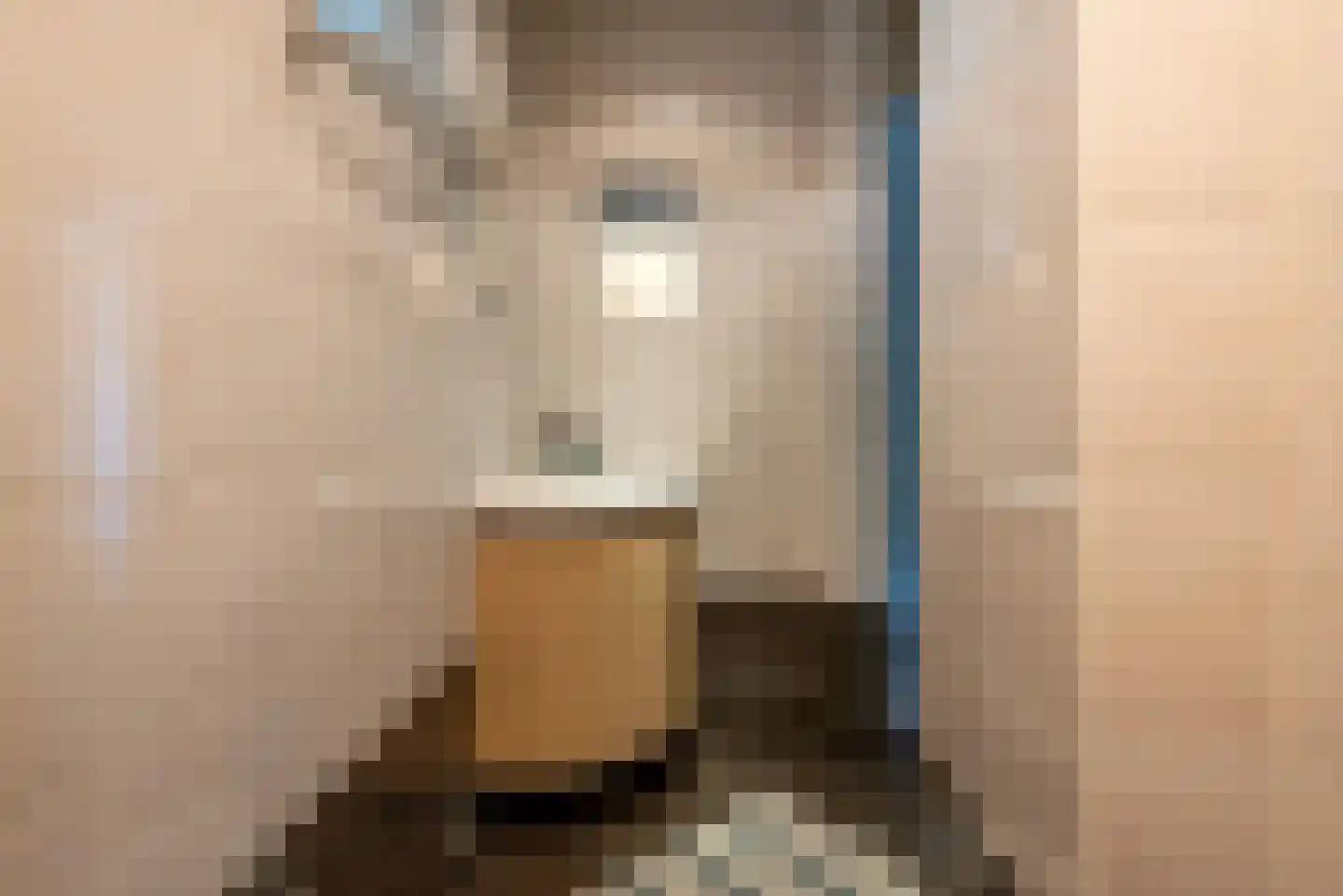 Benschoplaan 16 Den Haag thumbnail 15