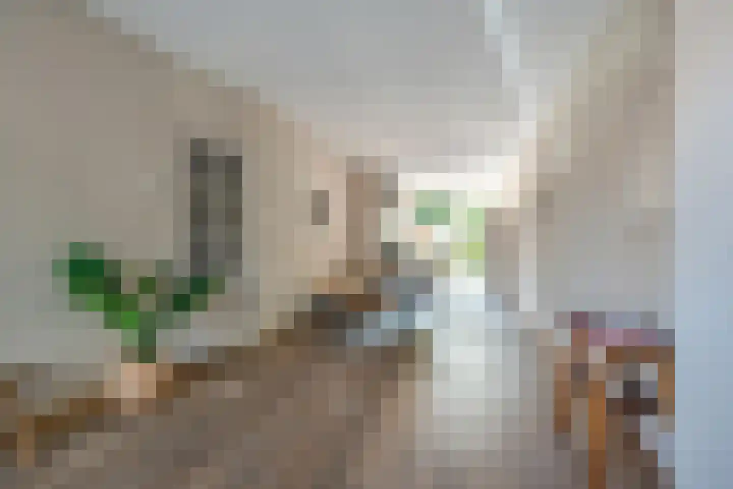 Benschoplaan 16 Den Haag thumbnail 4