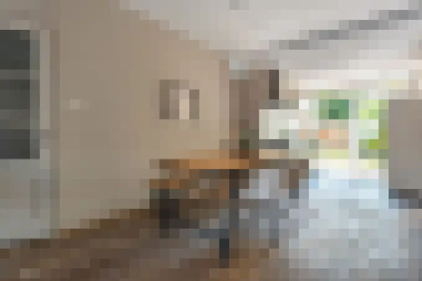 Benschoplaan 16 Den Haag thumbnail 5