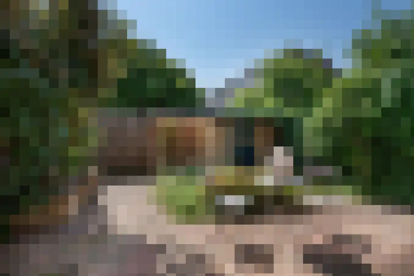Benschoplaan 16 Den Haag thumbnail 9