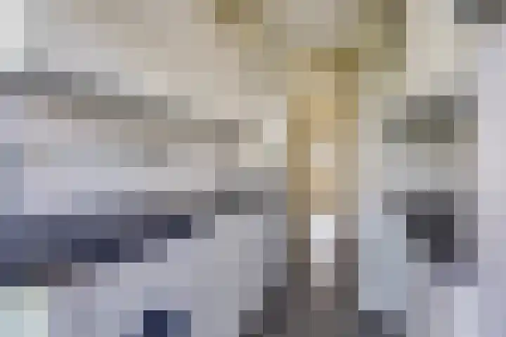 Benschoplaan 25 Den Haag thumbnail 10