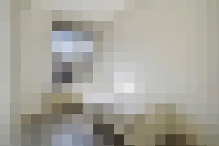 Benschoplaan 25 Den Haag thumbnail 17