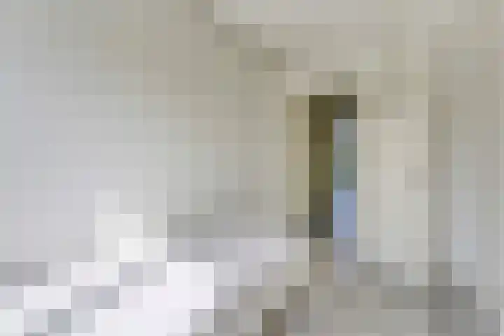 Benschoplaan 25 Den Haag thumbnail 18