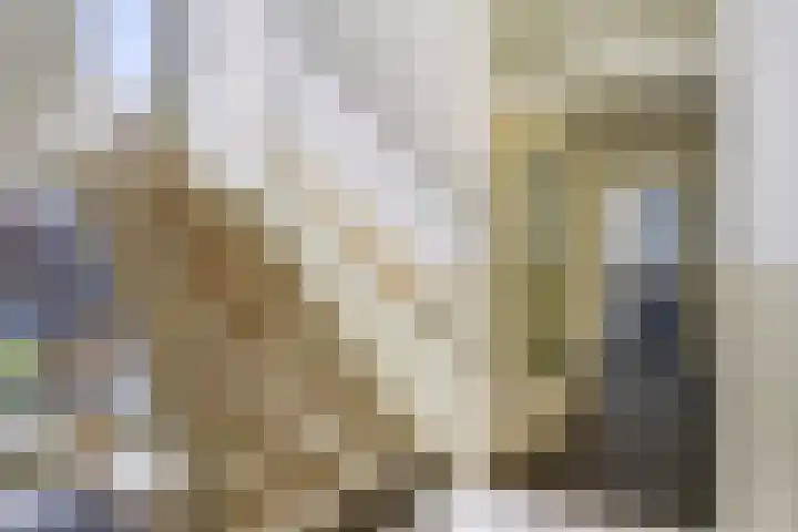 Benschoplaan 25 Den Haag thumbnail 33