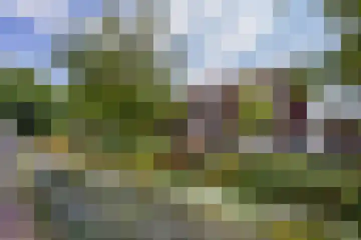 Benschoplaan 25 Den Haag thumbnail 37