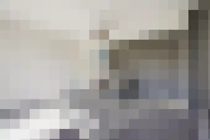 Benschoplaan 25 Den Haag thumbnail 4