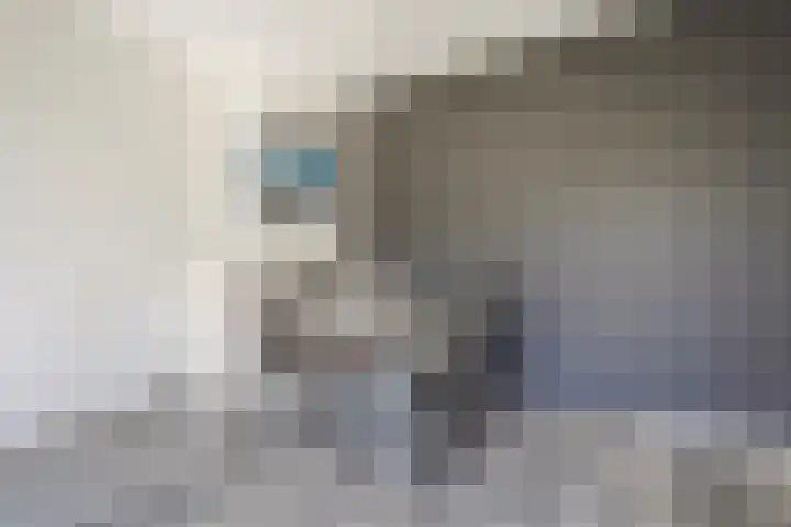 Benschoplaan 25 Den Haag thumbnail 6