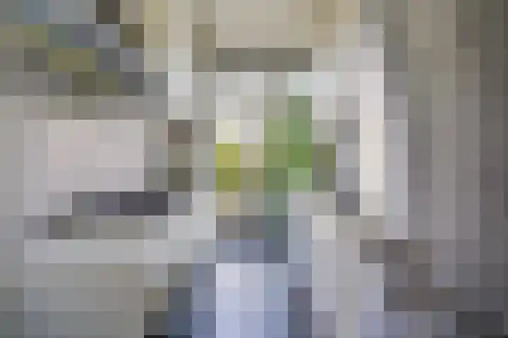Benschoplaan 25 Den Haag thumbnail 8
