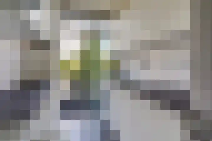 Benschoplaan 25 Den Haag thumbnail 9