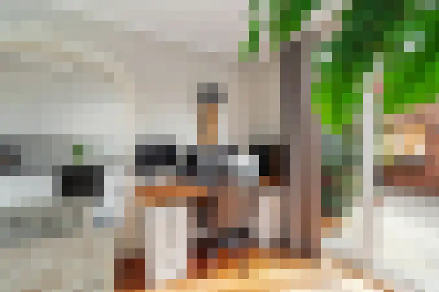 Benschoplaan 28 Den Haag thumbnail 12
