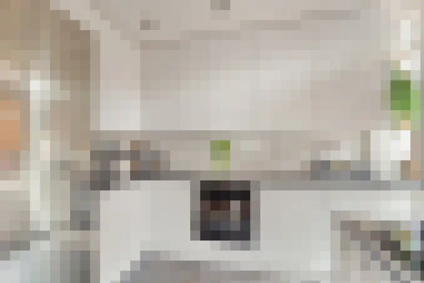 Benschoplaan 28 Den Haag thumbnail 13