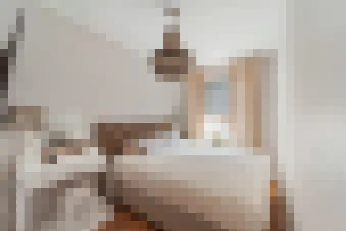 Benschoplaan 28 Den Haag thumbnail 16