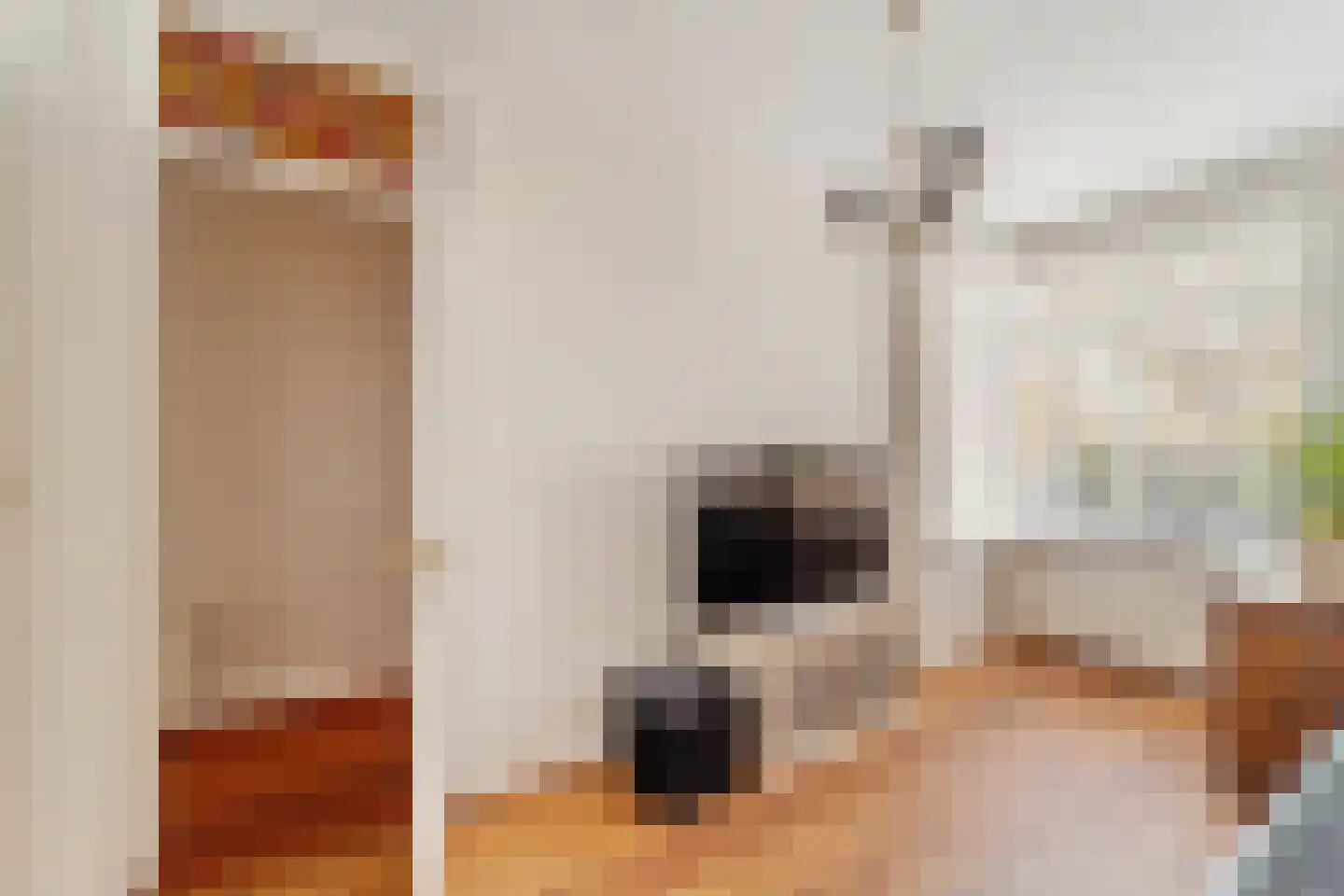 Benschoplaan 28 Den Haag thumbnail 17