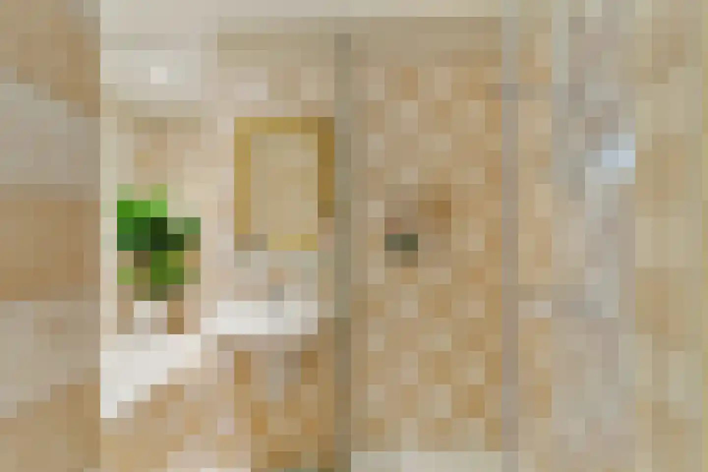 Benschoplaan 28 Den Haag thumbnail 19