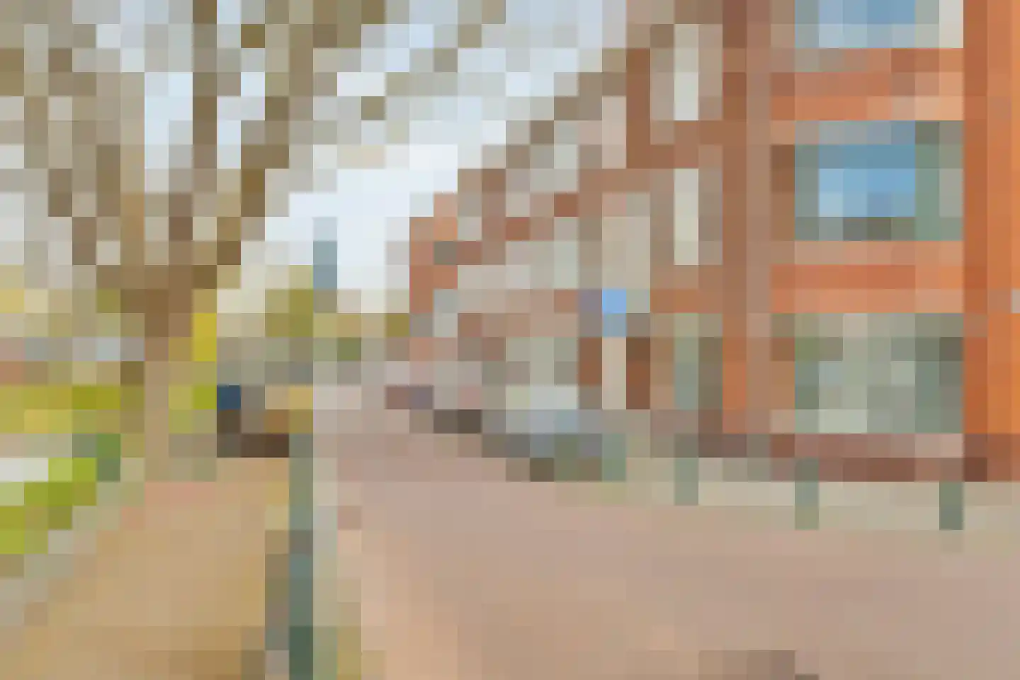 Benschoplaan 28 Den Haag thumbnail 33