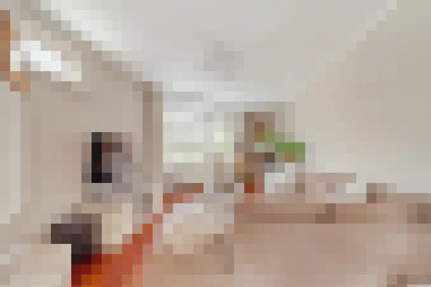 Benschoplaan 28 Den Haag thumbnail 6