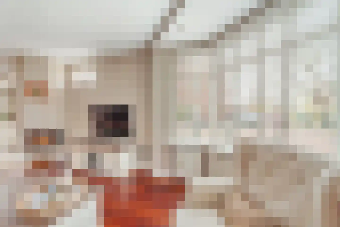 Benschoplaan 28 Den Haag thumbnail 7