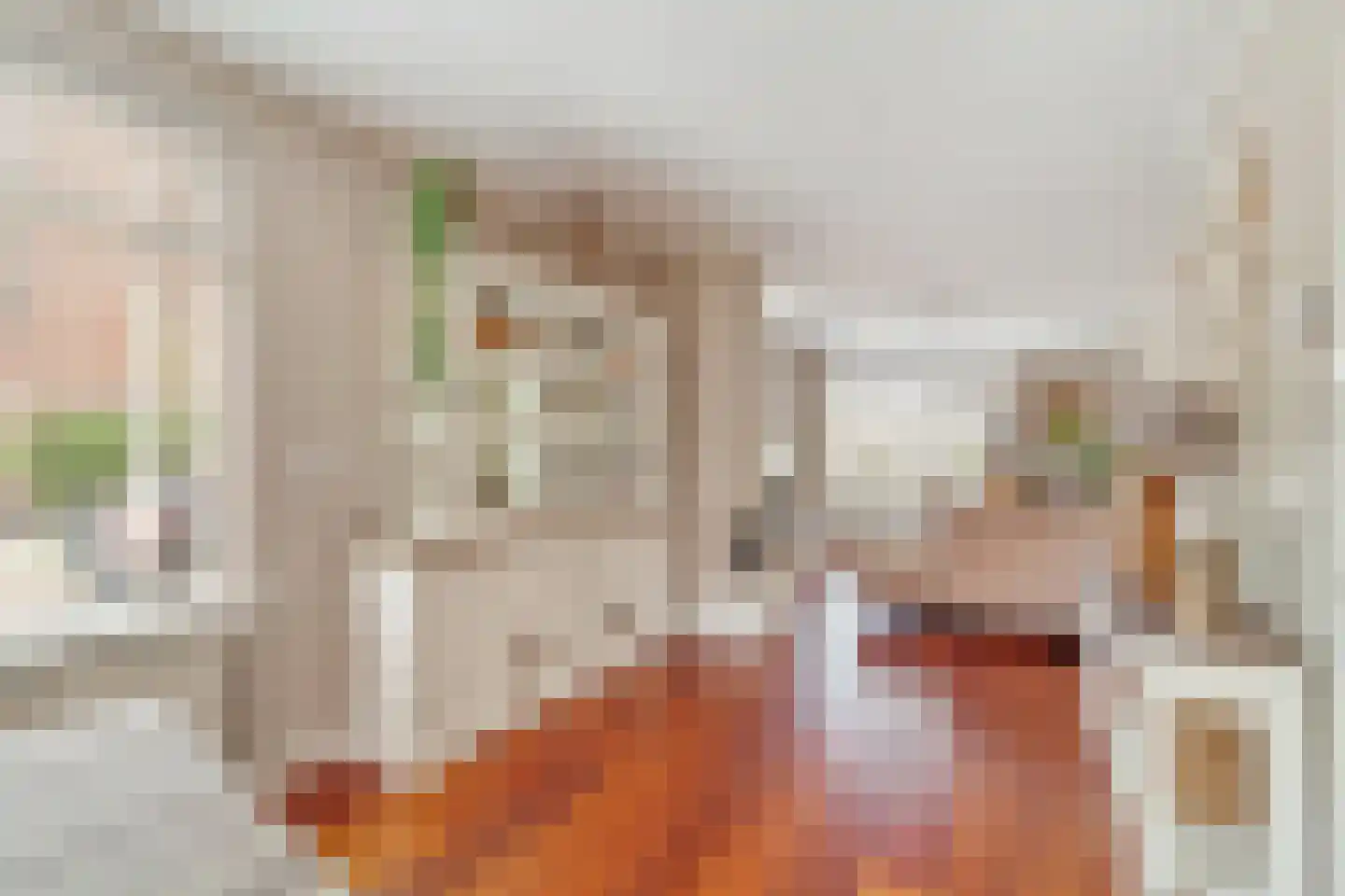 Benschoplaan 28 Den Haag thumbnail 8