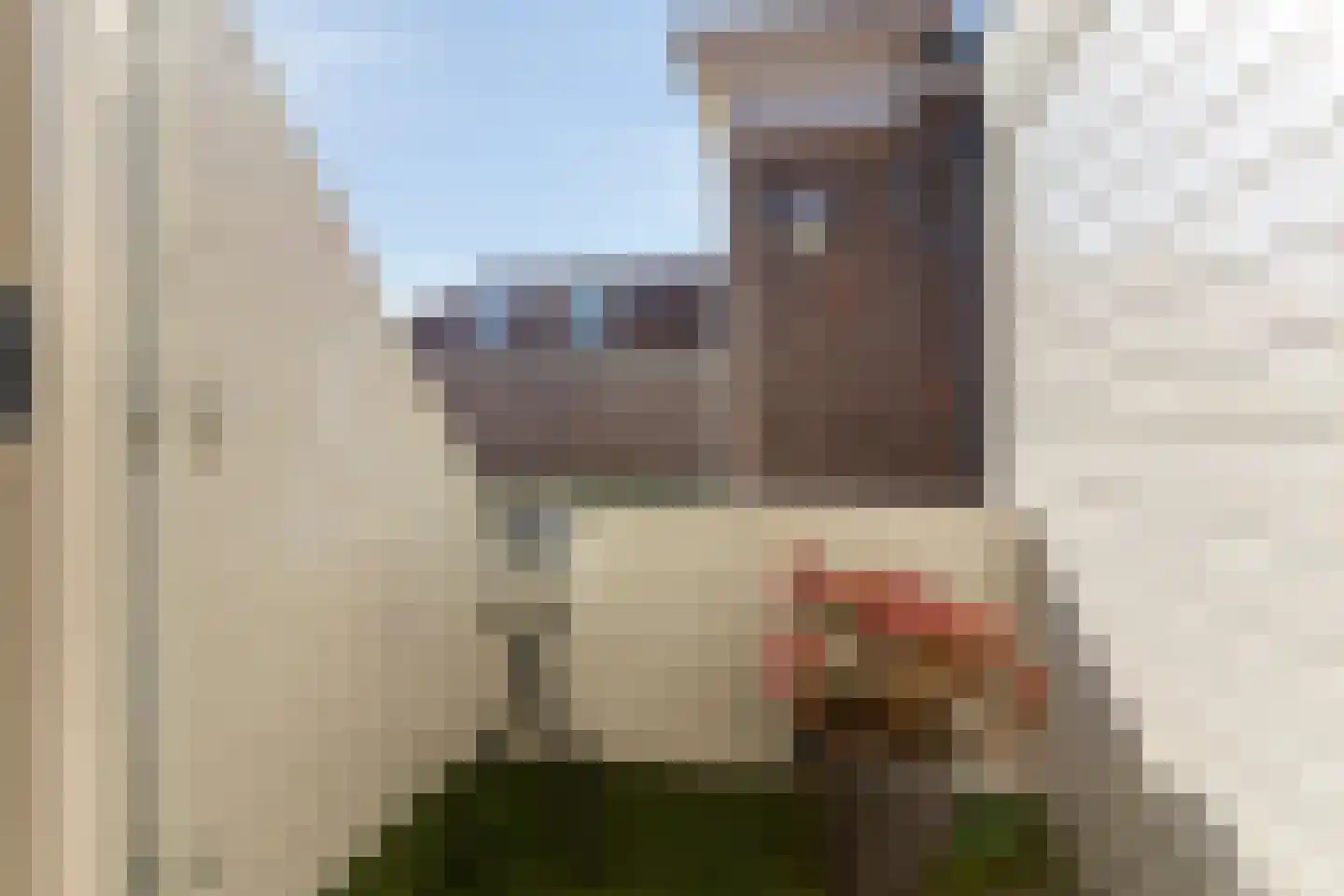 Benschopperstraat 27 b IJsselstein thumbnail 14