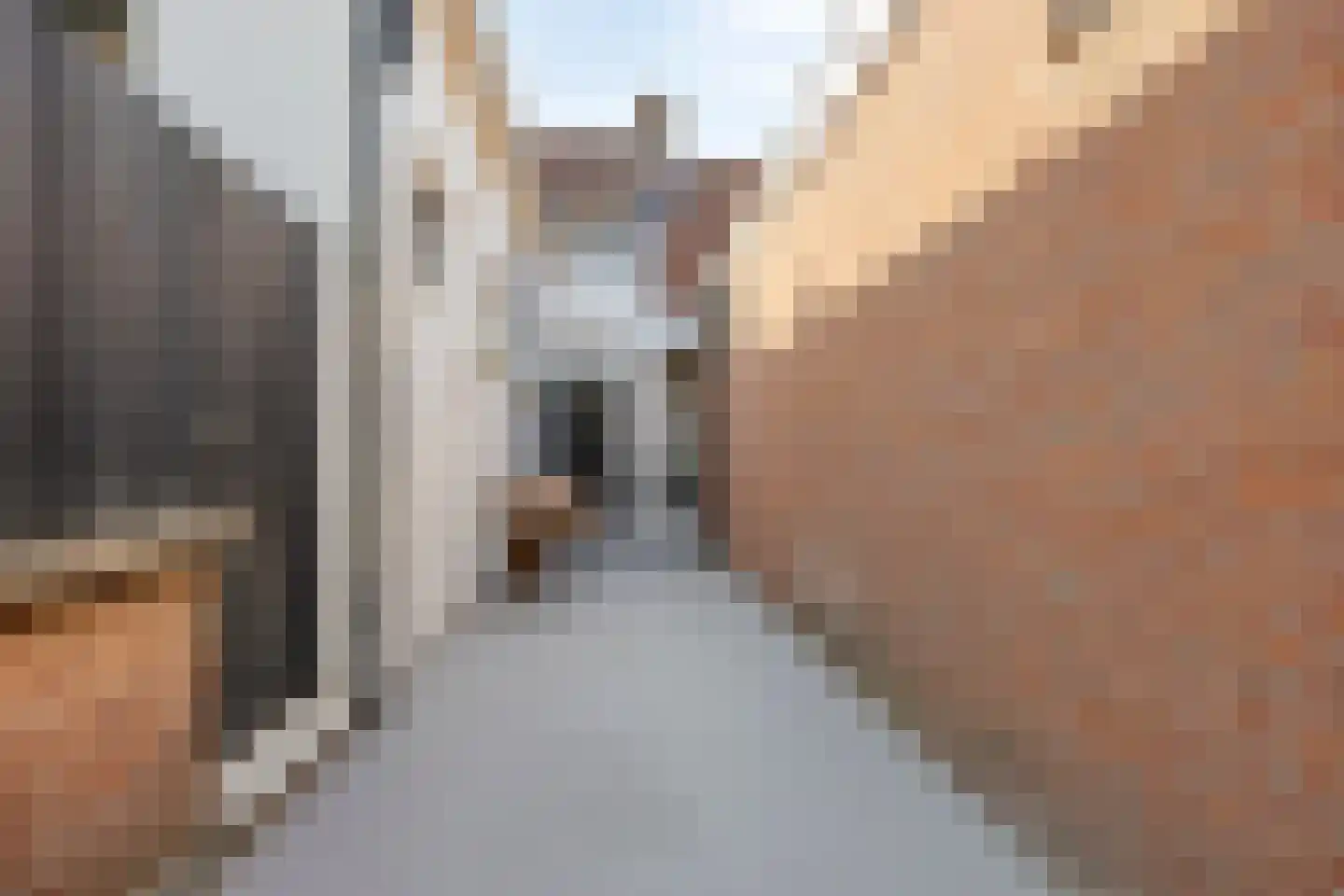 Benschopperstraat 27 d IJsselstein thumbnail 24