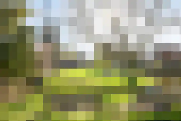 Benschopperweg 2 a IJsselstein thumbnail 10
