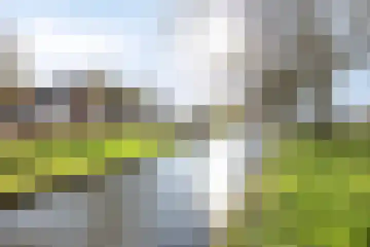 Benschopperweg 2 a IJsselstein thumbnail 9