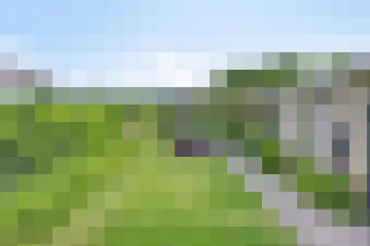 Benschopperweg 23 IJsselstein thumbnail 23
