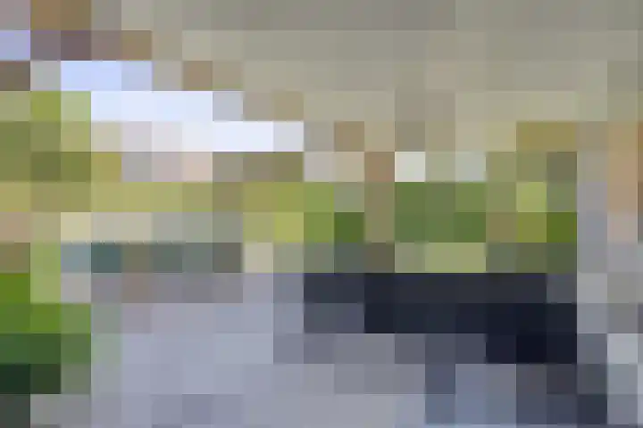 Benschopperweg 23 IJsselstein thumbnail 26
