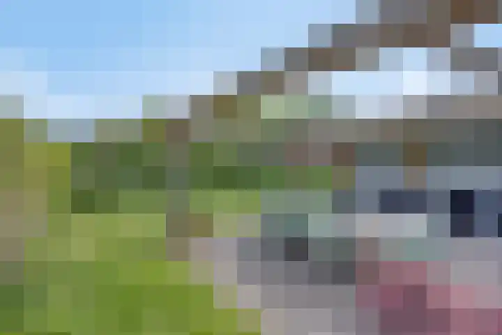 Benschopperweg 23 IJsselstein thumbnail 27