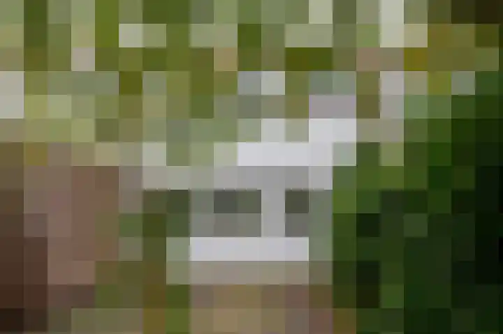 Bensingecamp 3 Emmen thumbnail 20