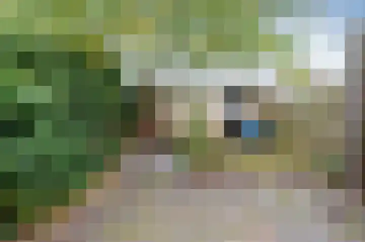 Bensingecamp 3 Emmen thumbnail 21