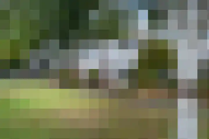 Bensingecamp 3 Emmen thumbnail 23