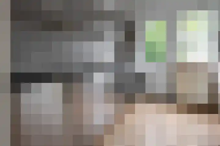 Bensingecamp 3 Emmen thumbnail 4