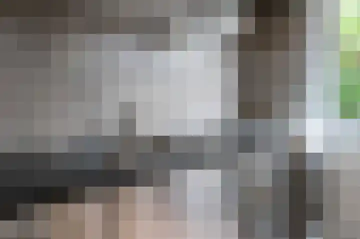 Bensingecamp 3 Emmen thumbnail 5