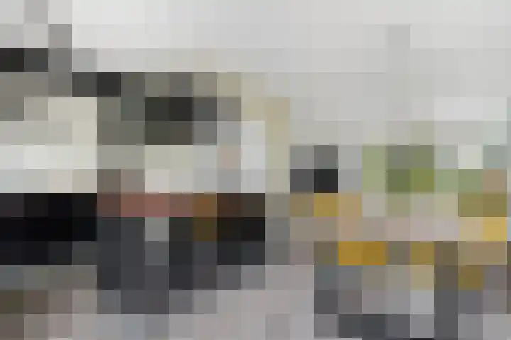 Bente 12 Odoorn thumbnail 10