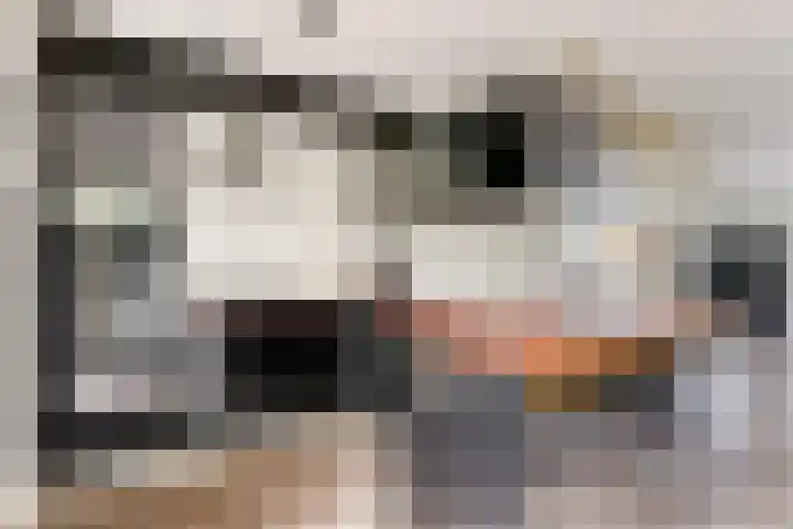 Bente 12 Odoorn thumbnail 11
