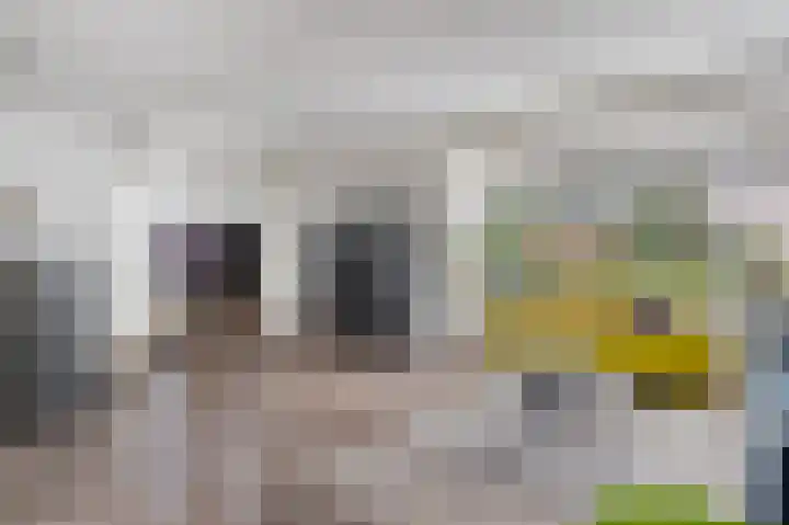 Bente 12 Odoorn thumbnail 13