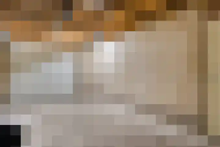 Bente 12 Odoorn thumbnail 15