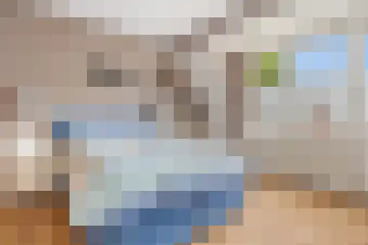 Bente 12 Odoorn thumbnail 21