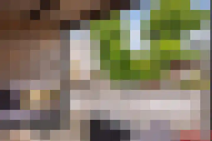 Bente 12 Odoorn thumbnail 23