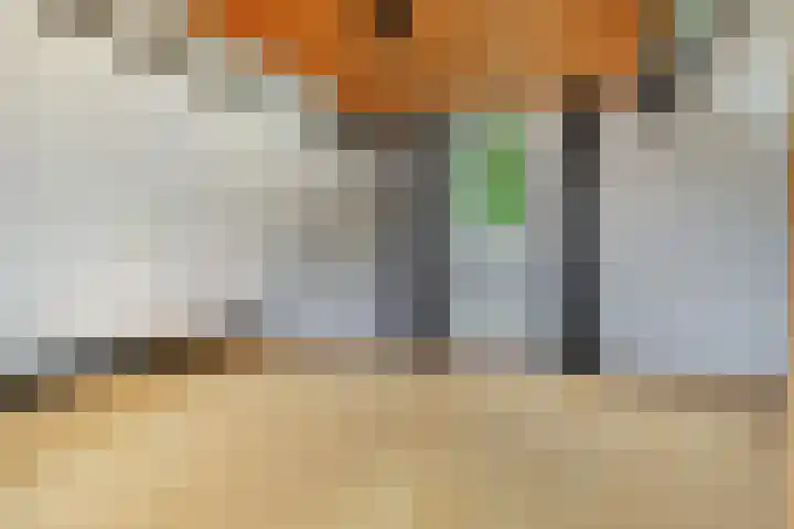Bente 12 Odoorn thumbnail 26