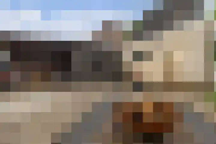 Bente 12 Odoorn thumbnail 29