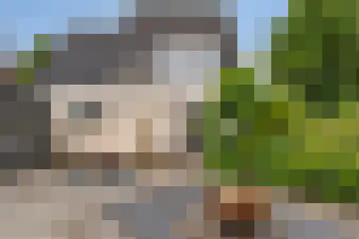 Bente 12 Odoorn thumbnail 32