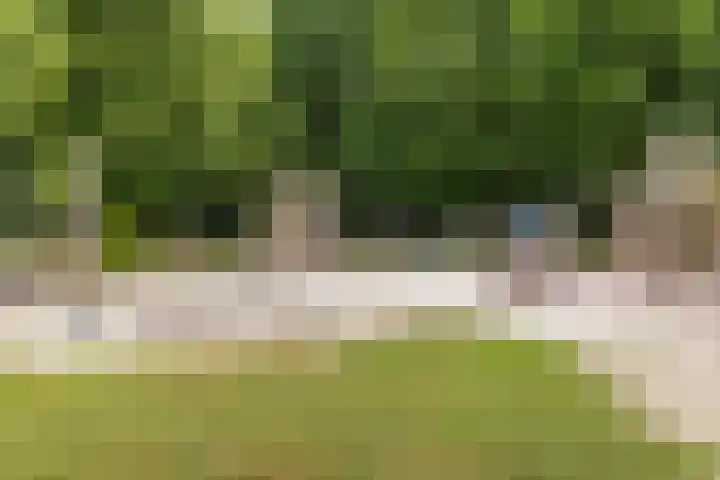 Bente 12 Odoorn thumbnail 33