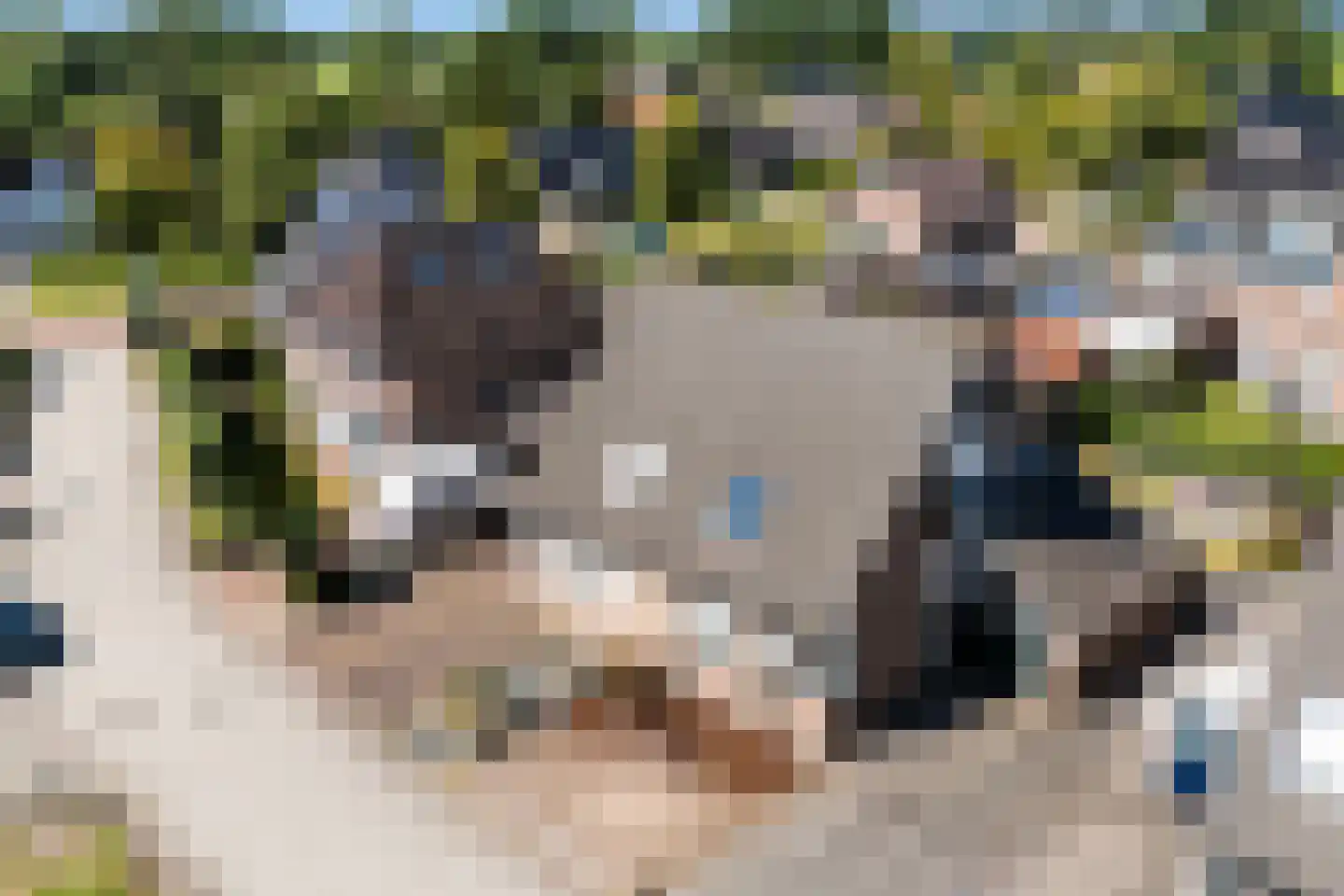 Bente 6 Odoorn thumbnail 16