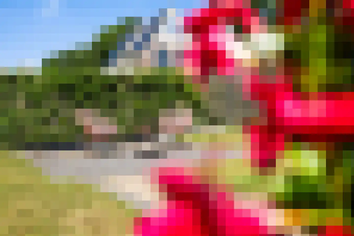 Bente 6 Odoorn thumbnail 22