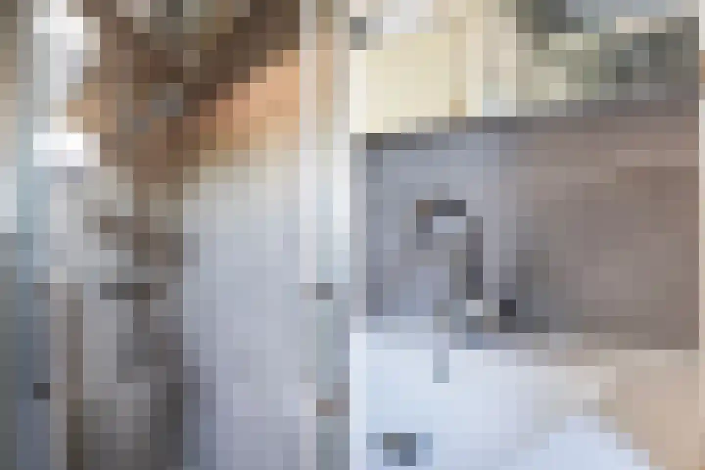 Bente 6 Odoorn thumbnail 31