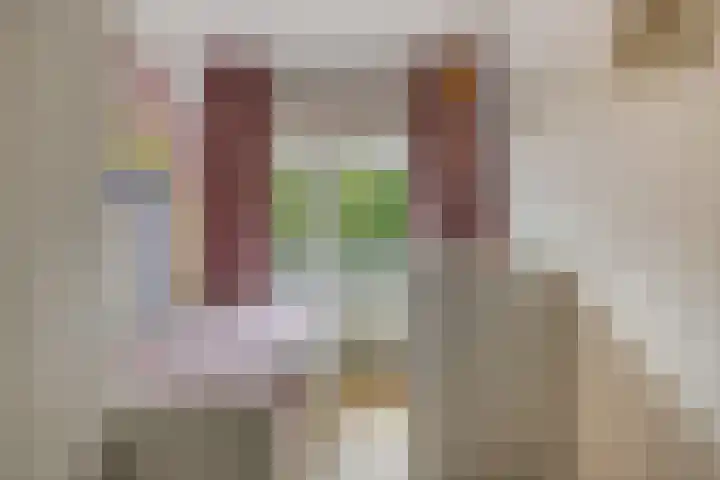 Bentelobrink 115 Enschede thumbnail 23