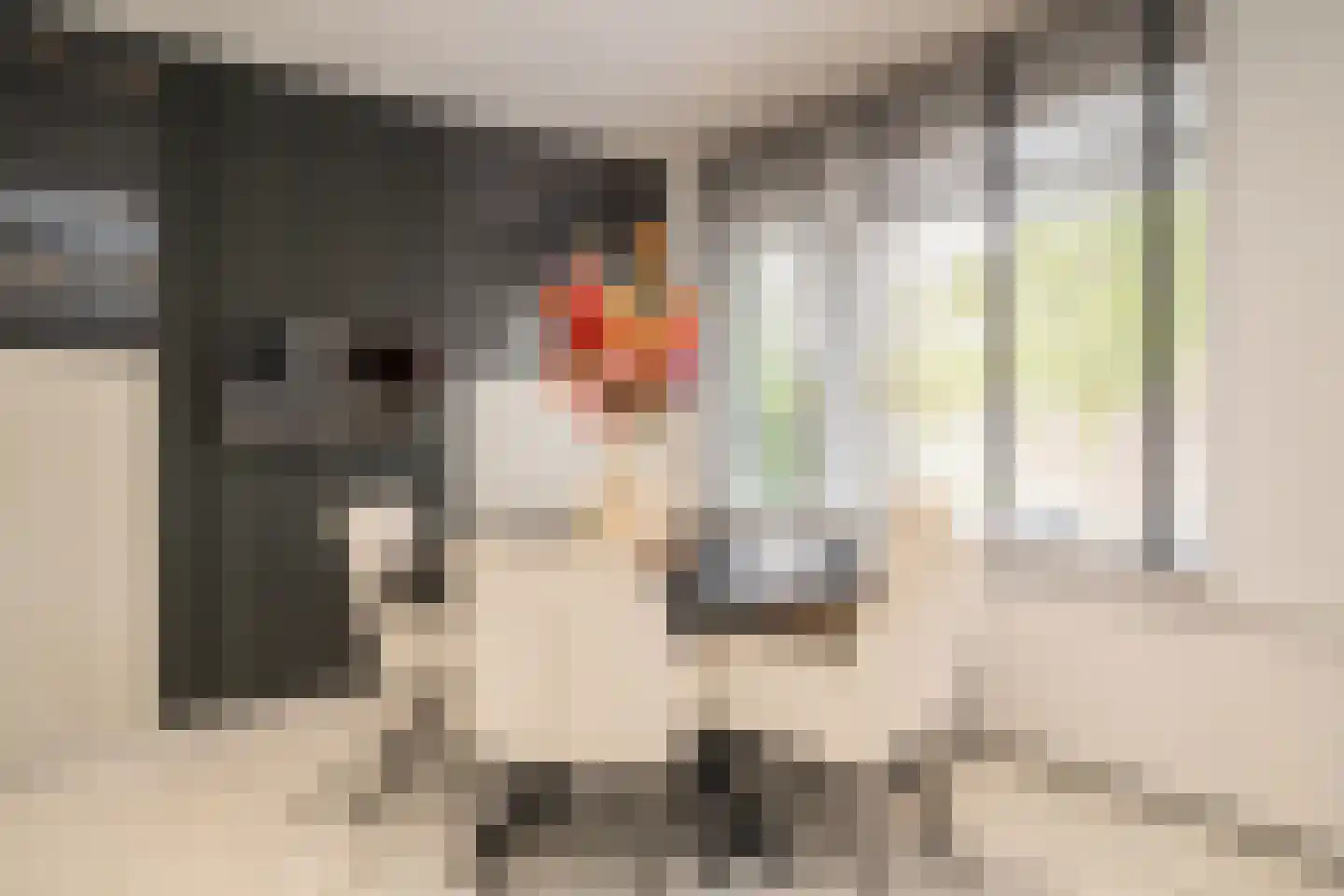 Bentelobrink 17 Enschede thumbnail 21
