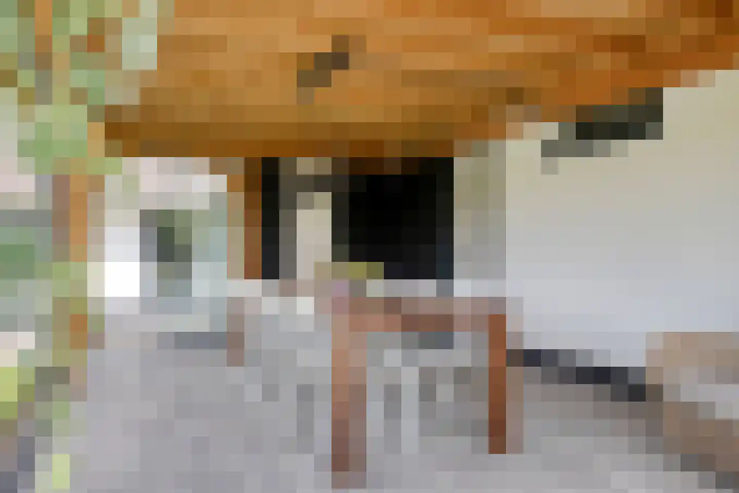 Bentelosestraat 35 Bentelo thumbnail 12